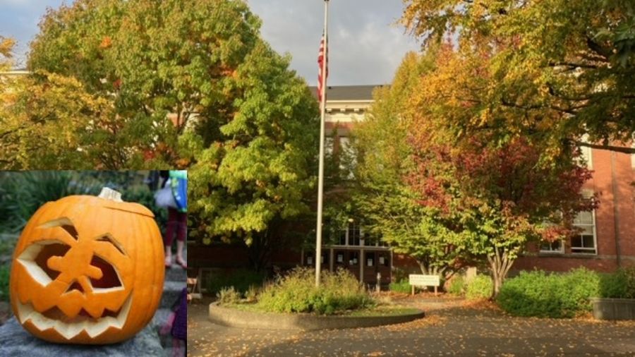 Seattle school cancels Halloween over ‘equity,’ says Black kids don’t celebrate