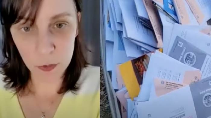 Cali Woman Walking Her Dog Finds Box With Over 100 Mail-in Ballots For Upcoming Election Just Sitting On The Sidewalk