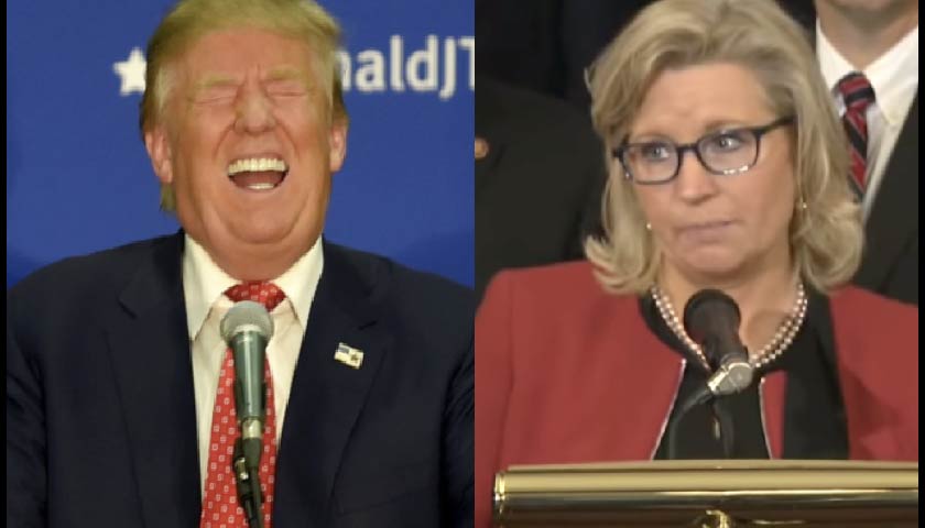 Look What Trump Just Did to Liz Cheney At His Wyoming Rally LOL
