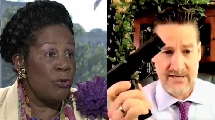 WATCH: Rep Sheila Jackson Lee Just Got OWNED During Live “Video Conference” By FL House Rep