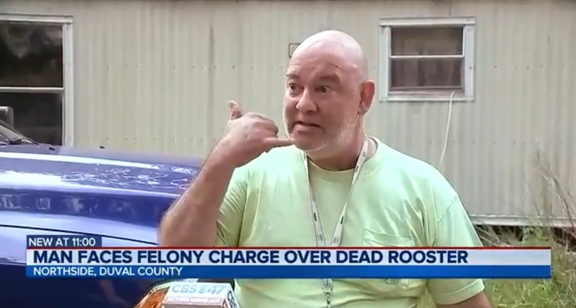 Florida Man Jailed For Clubbing Neighbor’s Pet Rooster to Death in Act of Self-Defense (VIDEO)