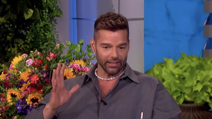 Singer Ricky Martin Accused of Incest By His Nephew, Could Face 50 Years in Prison
