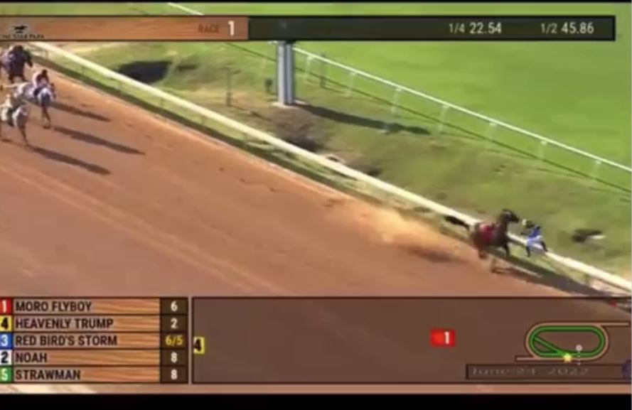 Can’t Make This Up! Horse Named Heavenly Trump Wins After Lead Horse Hits the Rail and Jockey Flips Off the Rail onto Track (VIDEO)
