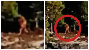 Was a Bigfoot spotted in Canada? A viral video claims to show something near a lake. (Credit: Screenshot/YouTube https://www.youtube.com/watch?v=V6sSRu20_I0)