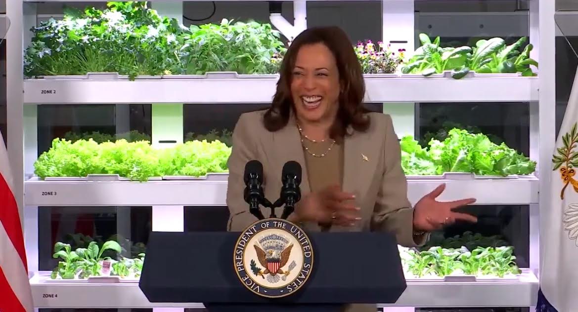 Kamala Harris: “Some of Our Younger Small Business Owners Actually Self-Identify as Entrepreneurs” (VIDEO)
