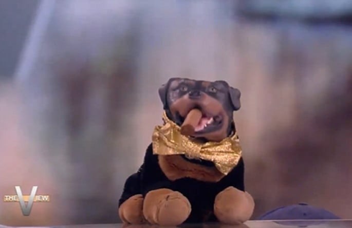 Joy Behar of ‘The View’ Gets Brutally Roasted by ‘Triumph the Insult Comic Dog’ (VIDEO)