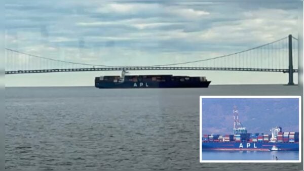 Massive Cargo Ship Loses Power in New York City Near Verrazzano-Narrows Bridge
